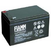 Аккумуляторная батарея FIAMM 12FGH50, фото